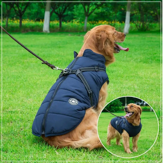 Waterproof winter jacket with integrated harness