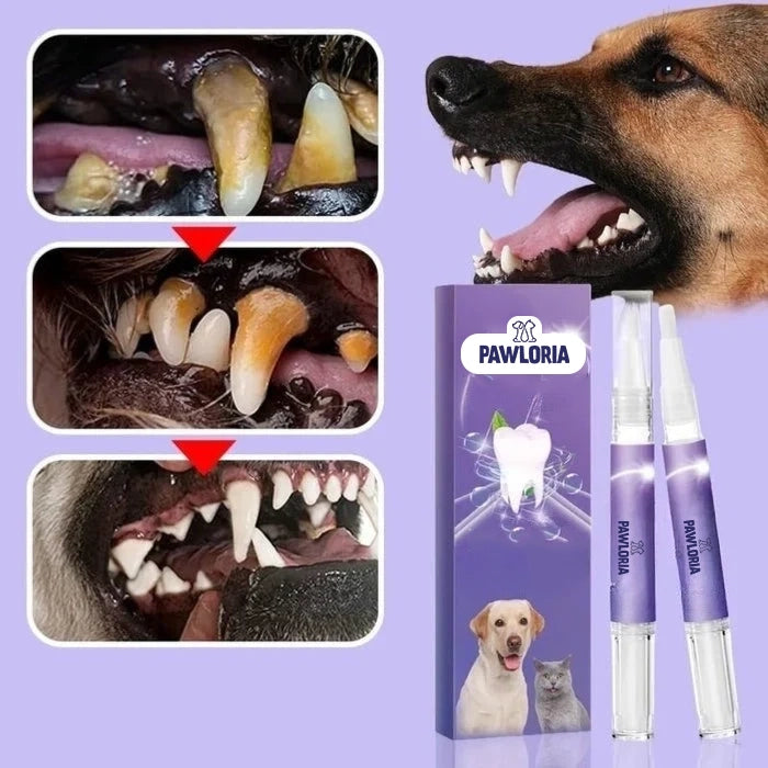 DentiPet