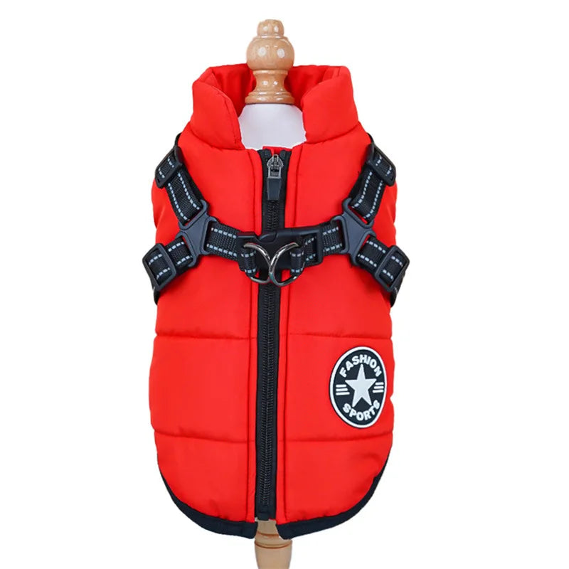 Waterproof winter jacket with integrated harness