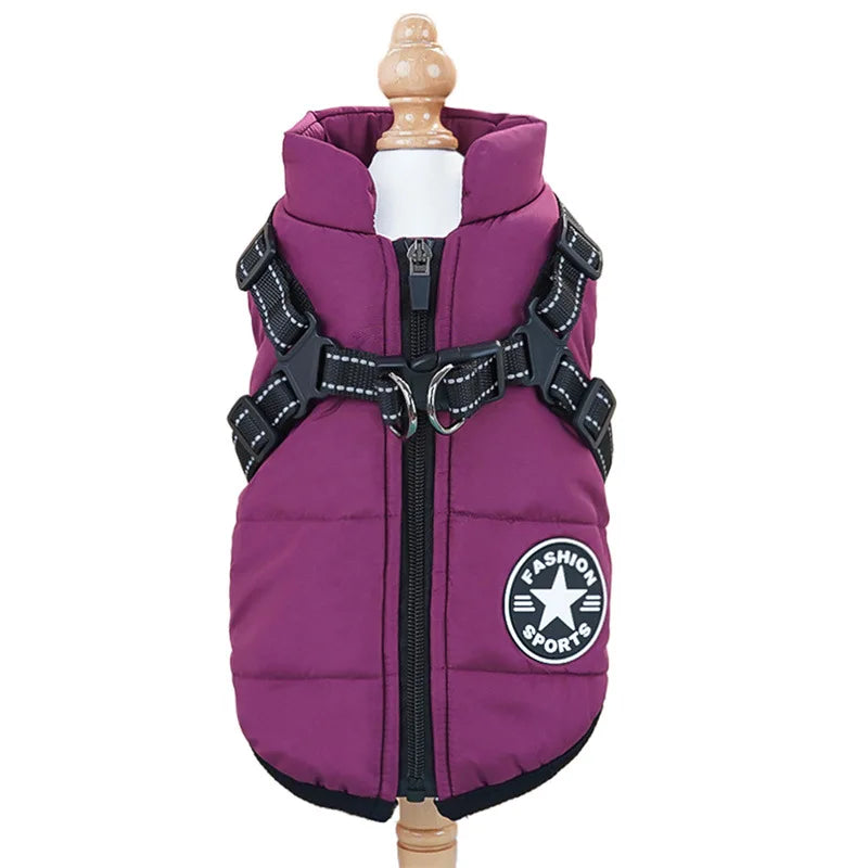 Waterproof winter jacket with integrated harness